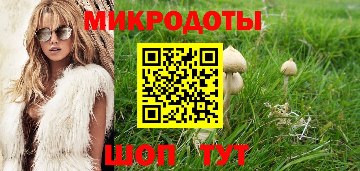 Сочи  Псилоцибиновые грибы прущие грибы  Вход с VPN 